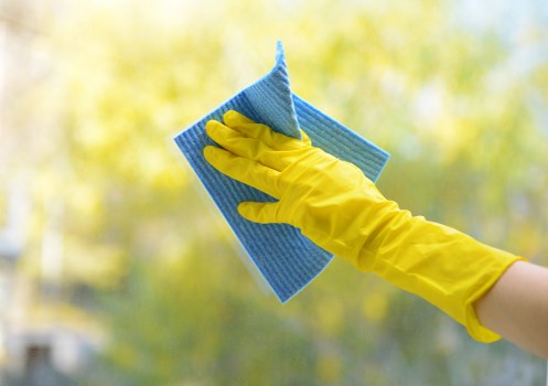 Carpet cleaning professional preparing equipment safely