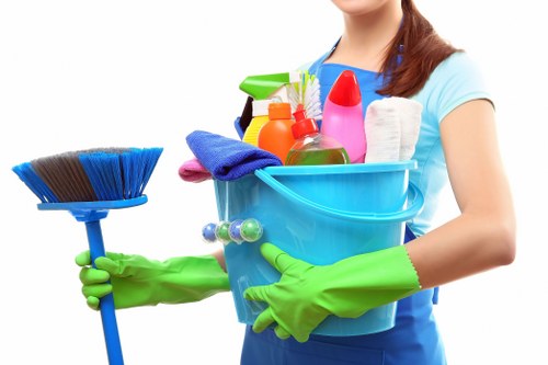 Visual indicating accessibility review and improvement for a carpet cleaning website