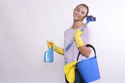 Deep cleaning carpets to remove stains and dirt in Bexleyheath