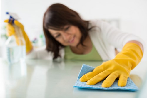 Pricing comparison for carpet cleaning services