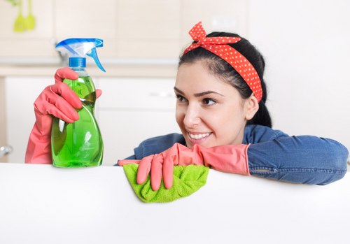 Deep upholstery cleaning process for a home chair