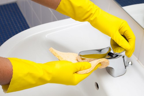 Professional mattress cleaning removing dust and stains